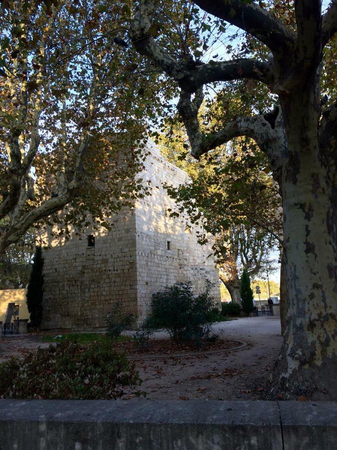 La Maison De Lara Villa Arles Esterno foto